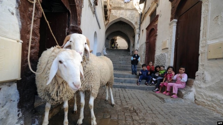 صورة في عز المظاهرات السلمية في الجزائر جرائم ضد الفقراء في الأعياد الدينية