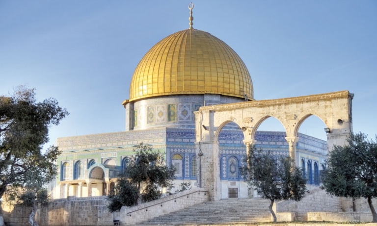 صورة فلسطينيون ضد فلسطين