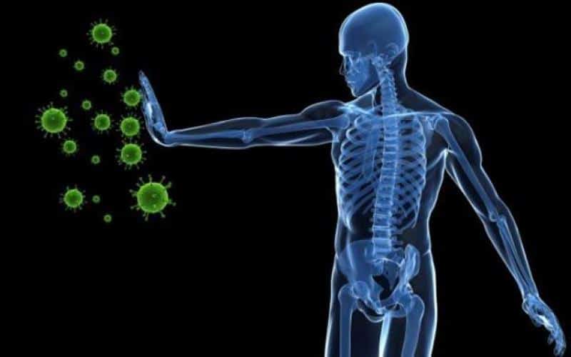 صورة الفلسفة والكورونا: من معارك الجماعة إلى حروب المناعة