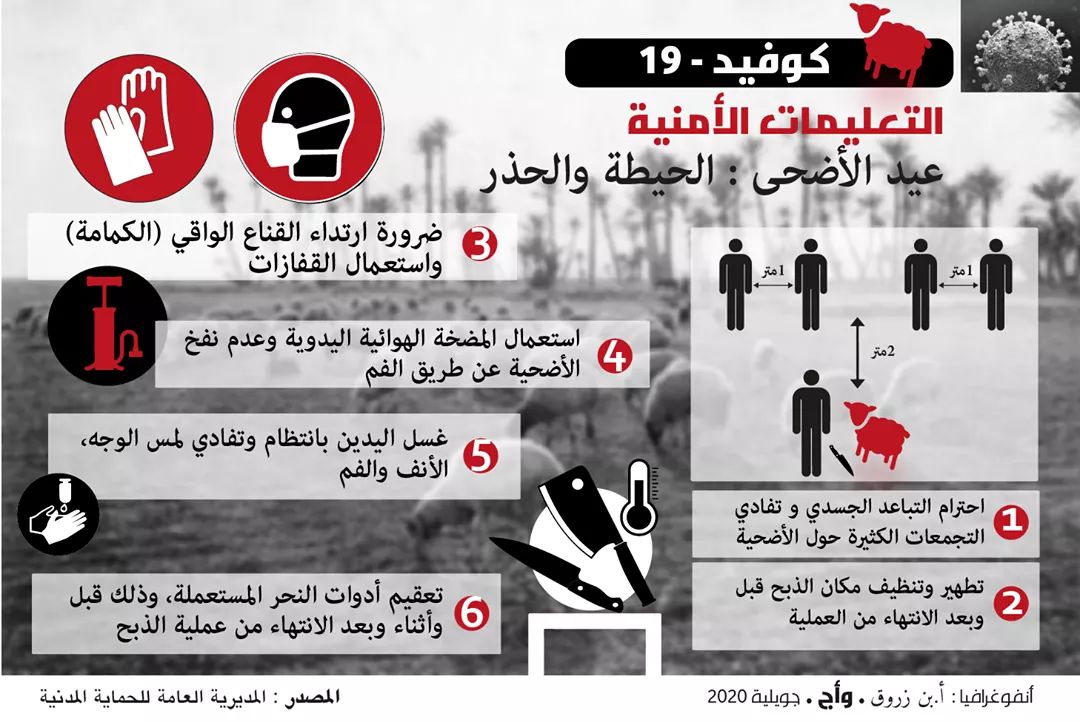 صورة احتياطات ذبح الأضحية في عيد الأضحى المبارك