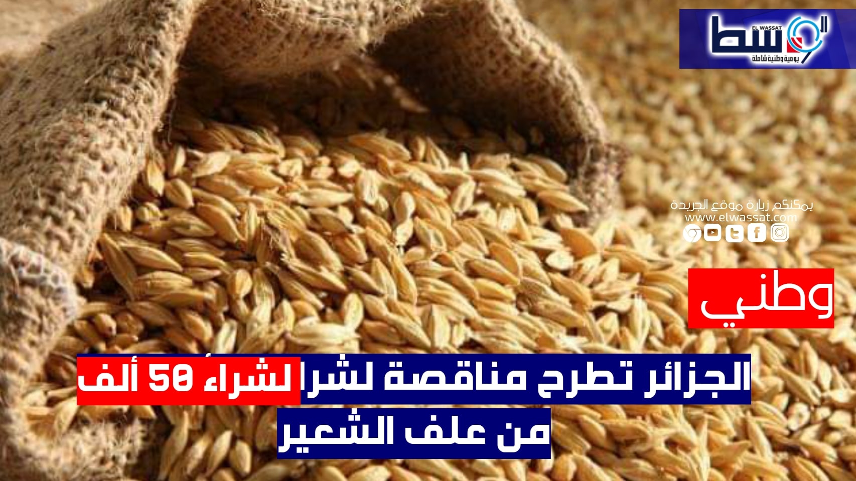 صورة الجزائر تطرح مناقصة لشراء 50 ألف طن من علف الشعير