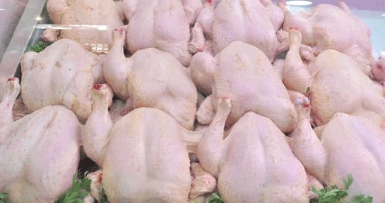 “أوناب”: تسويق 48 ألف طن من الدواجن تدريجيا لكسر الأسعار 1 1500x9999 c 2 2