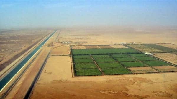 صورة 170 ألف هكتار من الأراضي الصحراوية لفائدة المستثمرين