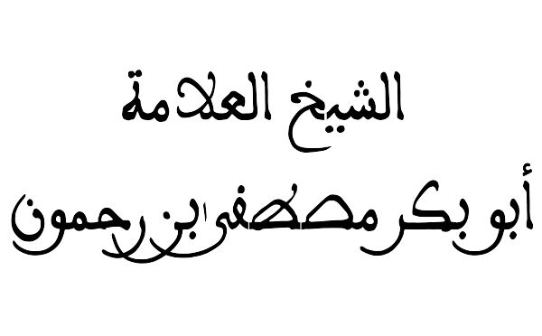 صورة الشاعر الحساس و المدافع عن اللغة العربية