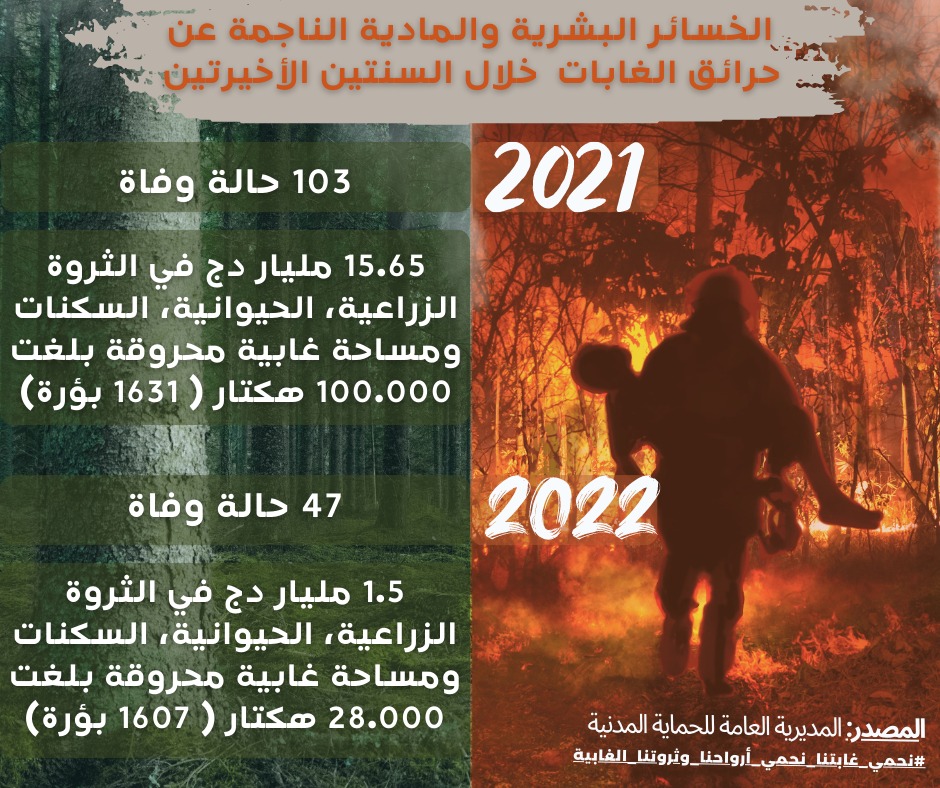 وزارة الداخلية تطلق حملة وطنية للوقاية من حرائق الغابات 1