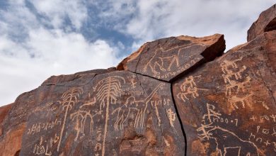 صورة المصطلح والبيئة..  الخطيئة الحضارية والمعرفية الكبرى