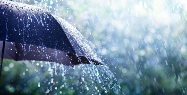 أمطار رعدية غزيرة في هذه الولايات