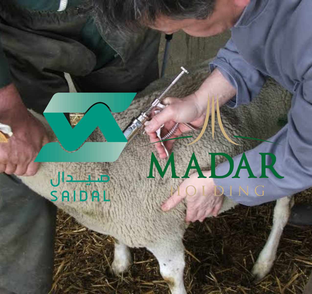 شراكة جزائرية لإنتاج اللقاحات البيطرية وتعزيز السيادة الصحية