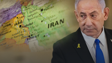 “بركان” في مملكة “الحشيش”!