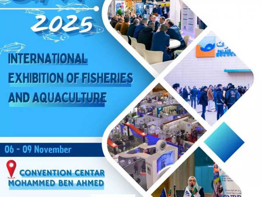200 عارض في صالون سيبا